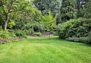 Optimiser l'expérience du jardin à Roches-Bettaincourt